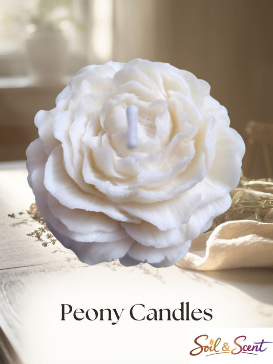 Peony Candle