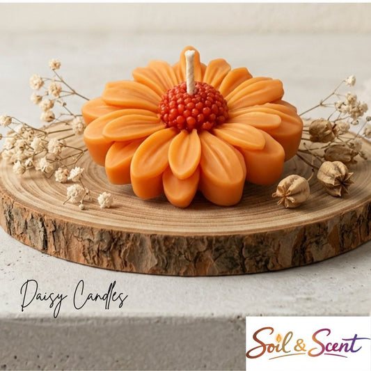 Daisy Candle
