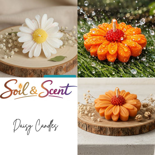 Daisy Candle